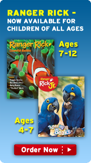 Ranger Rick is now available for all ages!